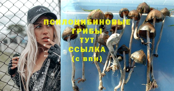 кокаин премиум Алексин