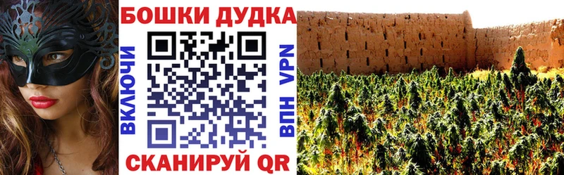 Канабис план как найти наркотики Куса